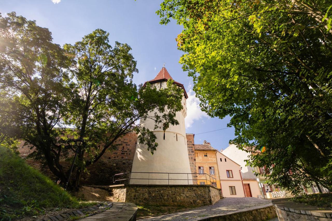 Studio Anisia Apartment Sibiu Exterior photo